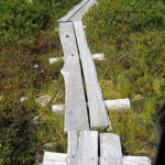 Boardwalk