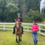 horse read